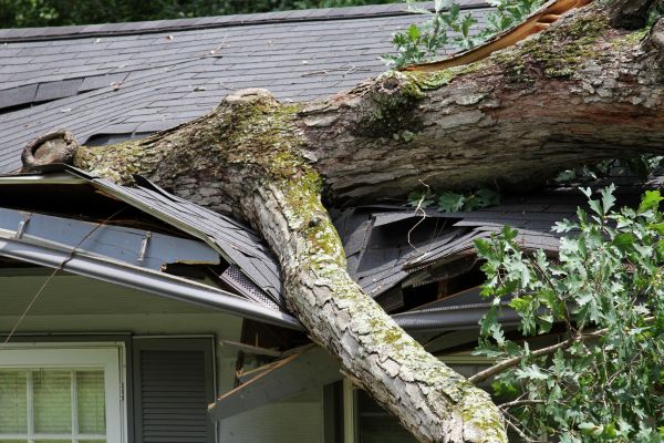 Storm Remediation in Palm Beach Gardens