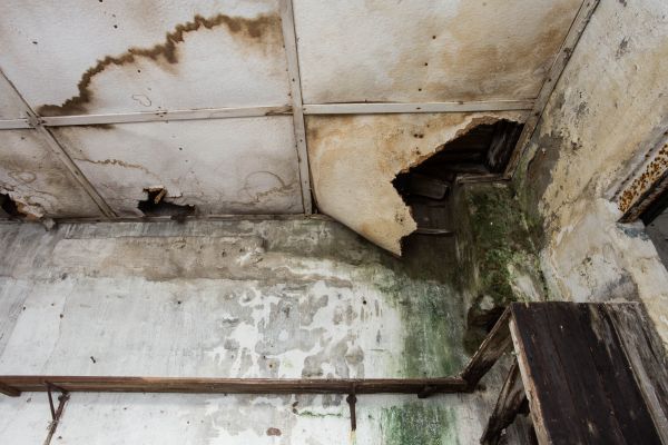 Water Damage Service in Palm Beach Gardens