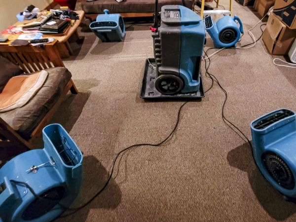 Cost of Flood Damage Recovery in Palm Beach Gardens