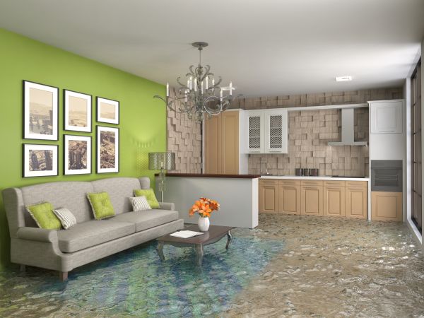 Wet Carpet Drying in Palm Beach Gardens