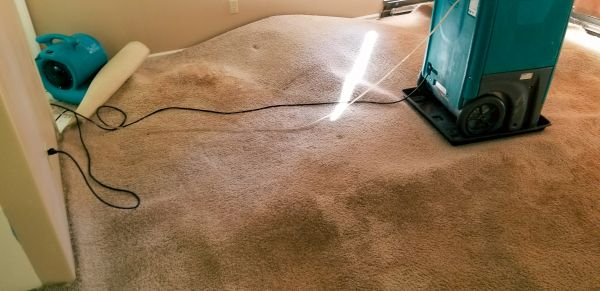 Flood Damage Cleanup in Palm Beach Gardens