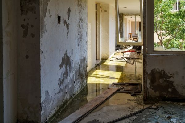 Water Removal Service in Palm Beach Gardens