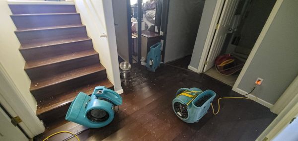 Water Damage Remediation in Palm Beach Gardens