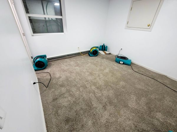 Flood Restoration Service in Palm Beach Gardens