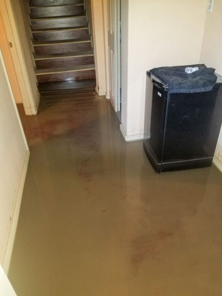 Emergency Water Removal in Palm Beach Gardens