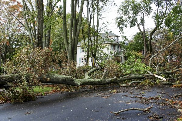 Cost of Tornado Damage Repair in Palm Beach Gardens