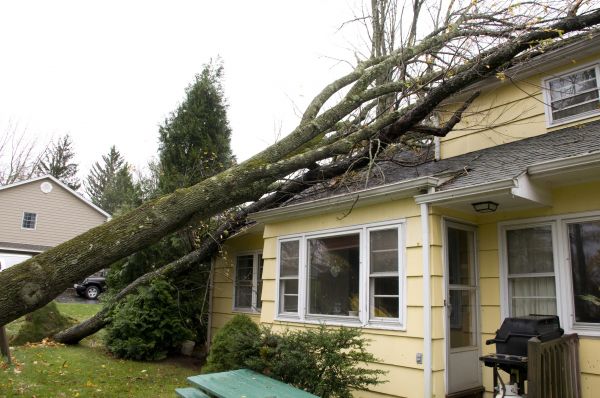 Hurricane Damage Repair in Palm Beach Gardens
