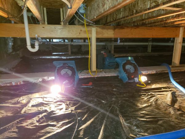 Crawlspace Water Removal in Palm Beach Gardens