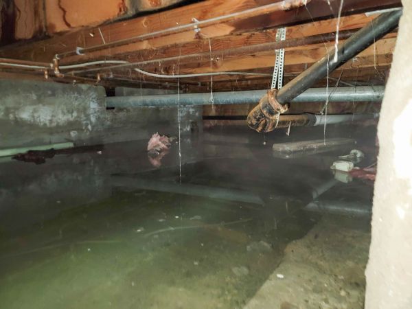 Crawlspace Water Restoration in Palm Beach Gardens